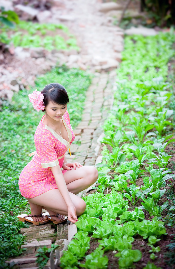 呆头呆脑电视剧免费观看